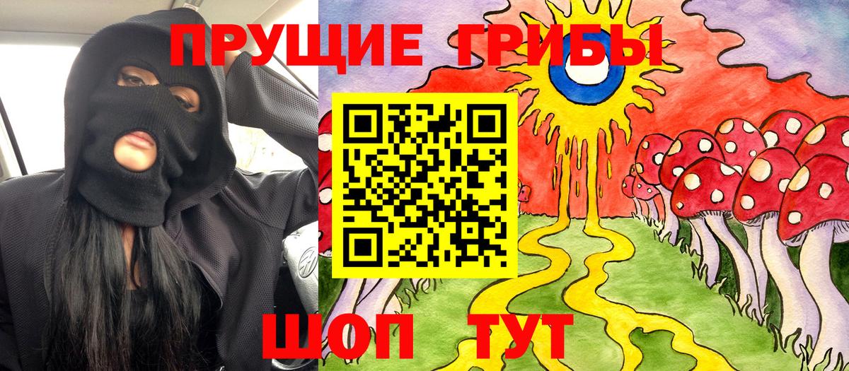 Псилоцибиновые грибы MAGIC MUSHROOMS  Вход с VPN  Сланцы 