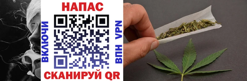 где купить наркоту  Сланцы  Бошки марихуана OG Kush 